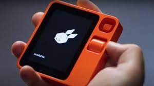 The Rabbit R1 is a tiny device that can be used for any purpose.