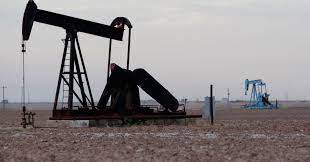 IEA will expedite 2025 oil demand forecast after Opecs early move