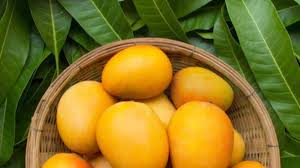 Lifestyle Coach Shares Easy Tips To Detect Harmful Chemicals In Mangoes