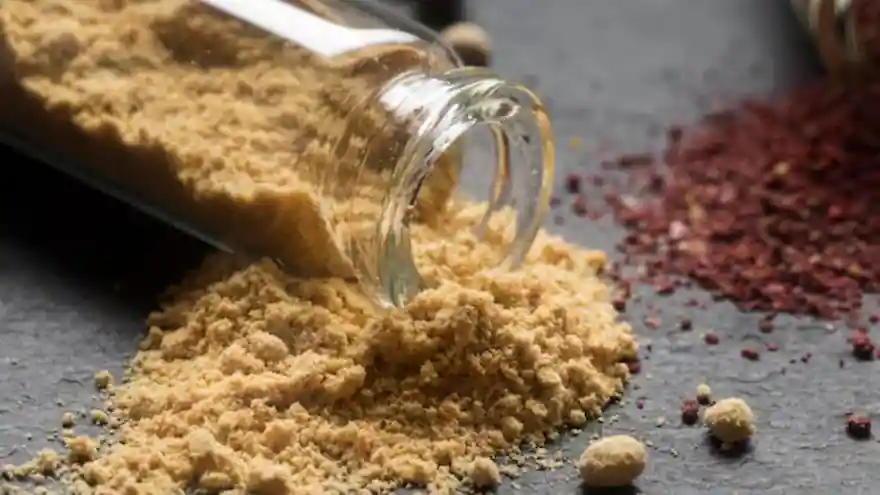 Identifying fake hing: Five practical methods to make sure you're purchasing real asafoetida