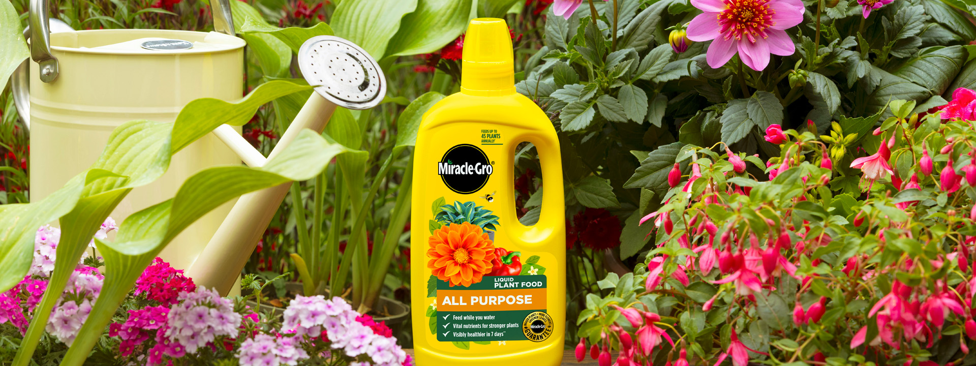 VCCP is chosen as the global integrated agency of record by Evergreen Garden Care.