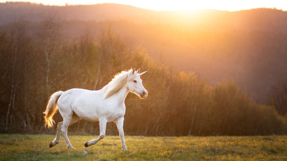 In reality, unicorns exist as well — they are found in the ocean. Monarchs in Europe during the Middle Ages spent vast sums on their horns
